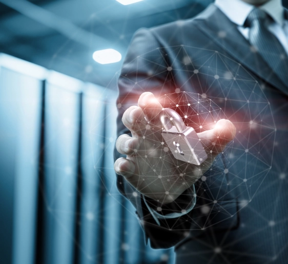IT professional overseeing digital security tied to CCTV maintenance